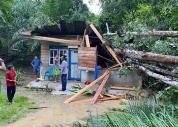 FOTO : rumah rusak tertimpa pohon di Aceh Timur