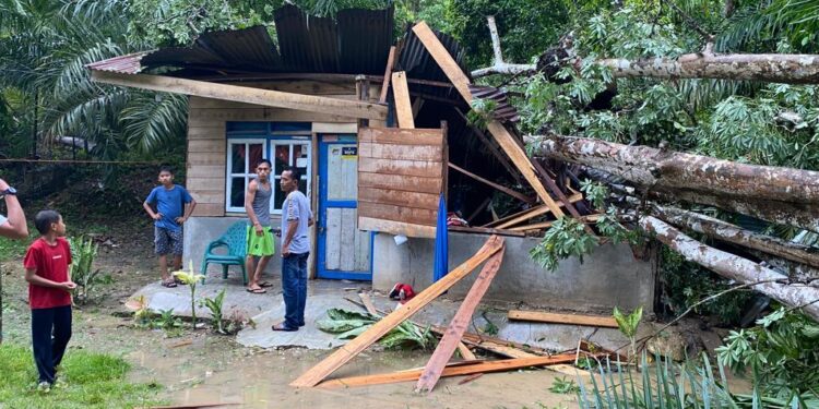 FOTO : rumah rusak tertimpa pohon di Aceh Timur