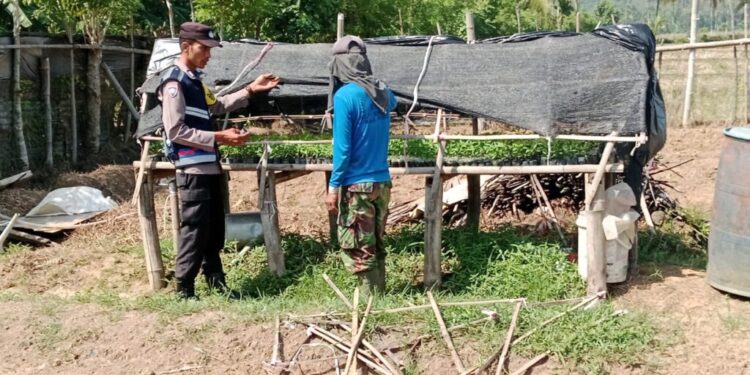 Bhabinkamtibmas Polsek Glumpang Tiga, Bripka Muhajir saat memberi penyuluhan kepada petani. (FOTO : Istimewa)