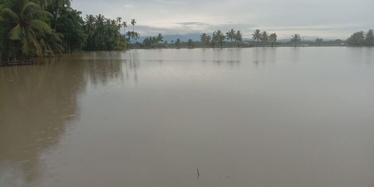 Foto:Kondisi Banjir di Kecamatan Samudera Aceh Utara