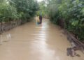 Banjir Aceh Utara. (FOTO : Raja EB)